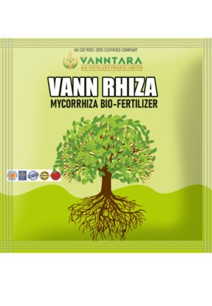 Vann Rhiza